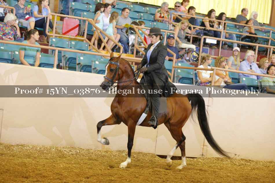 Proof 15YN_03876