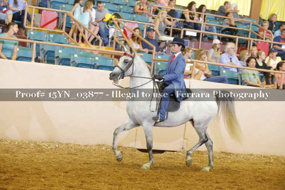 Proof 15YN_03877