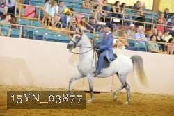 15YN_03877 proof