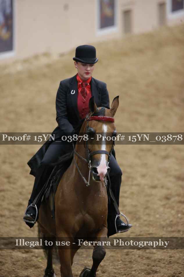 Proof 15YN_03878