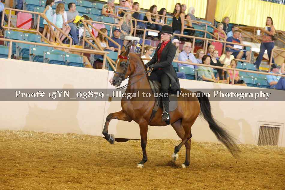 Proof 15YN_03879