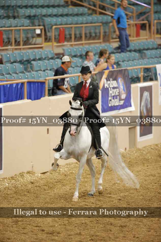 Proof 15YN_03880