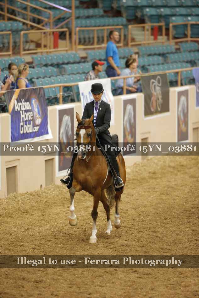 Proof 15YN_03881