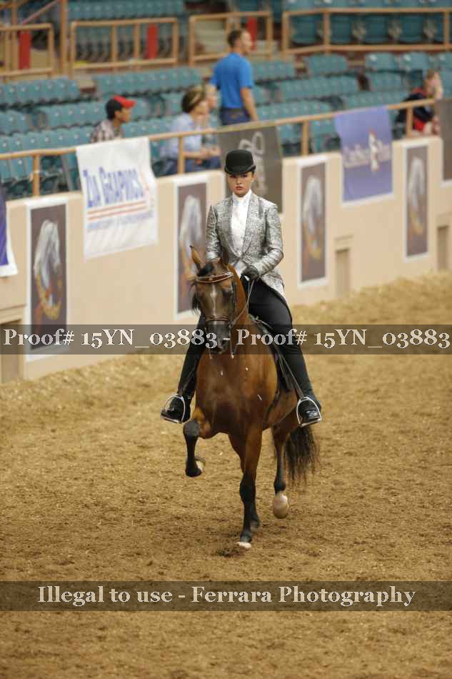 Proof 15YN_03883
