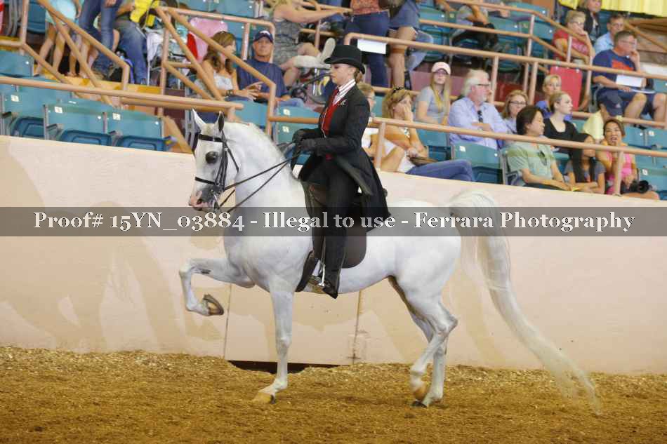 Proof 15YN_03884