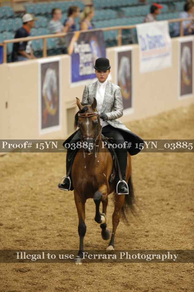 Proof 15YN_03885