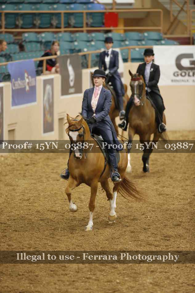 Proof 15YN_03887