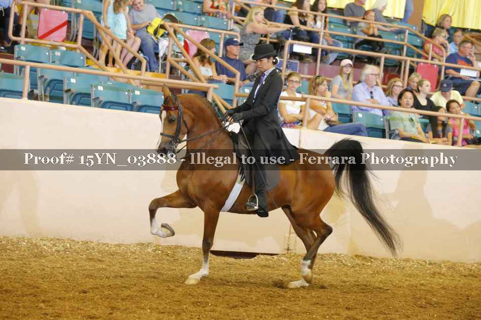 Proof 15YN_03888