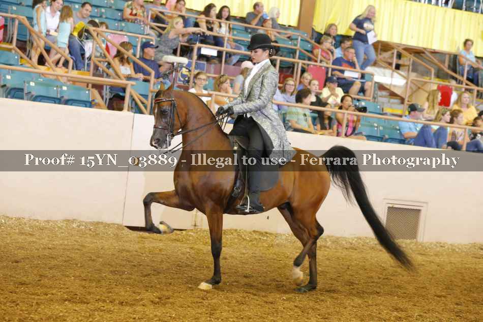 Proof 15YN_03889