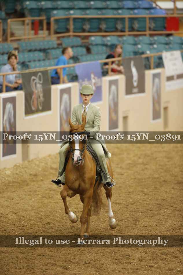 Proof 15YN_03891