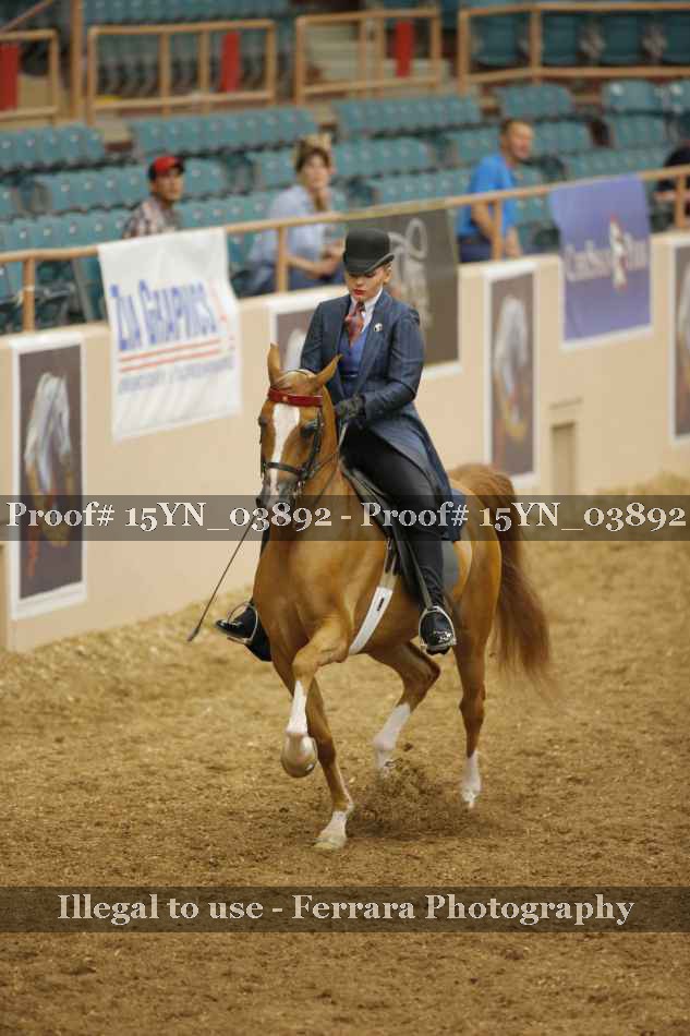 Proof 15YN_03892