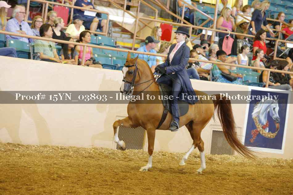 Proof 15YN_03893