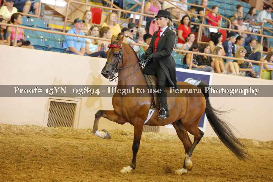Proof 15YN_03894