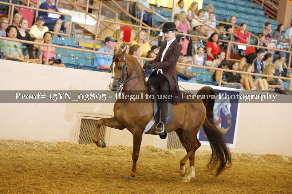 Proof 15YN_03895