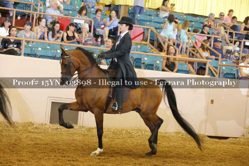 Proof 15YN_03898