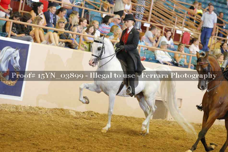 Proof 15YN_03899