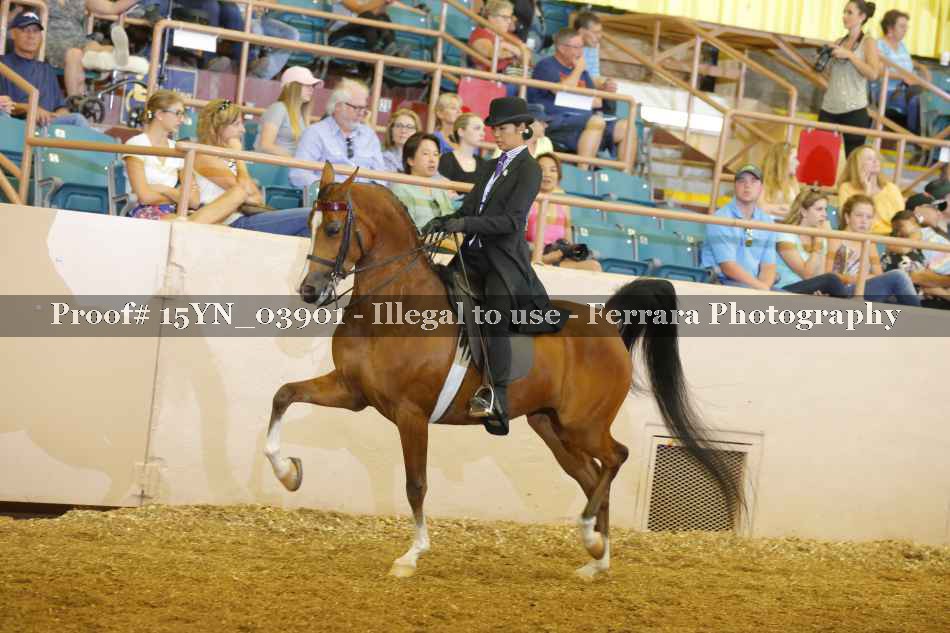 Proof 15YN_03901