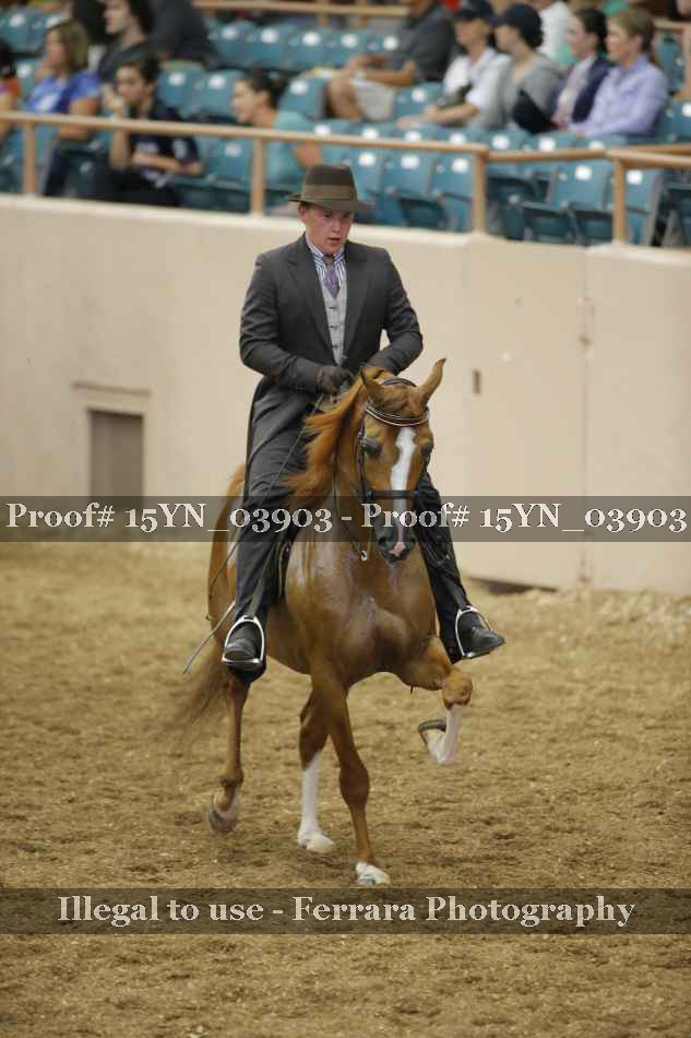 Proof 15YN_03903