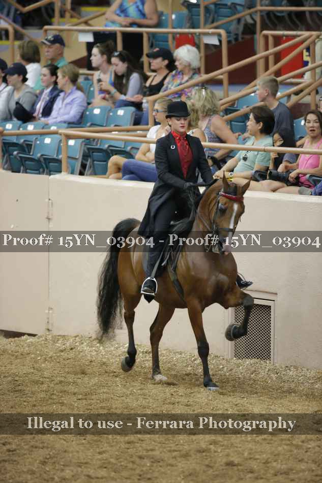 Proof 15YN_03904
