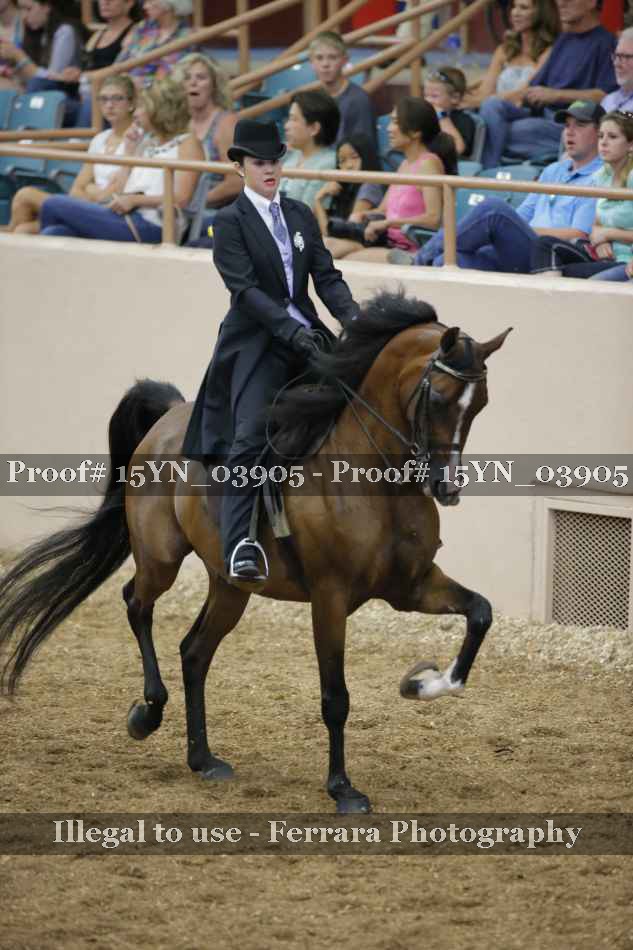 Proof 15YN_03905