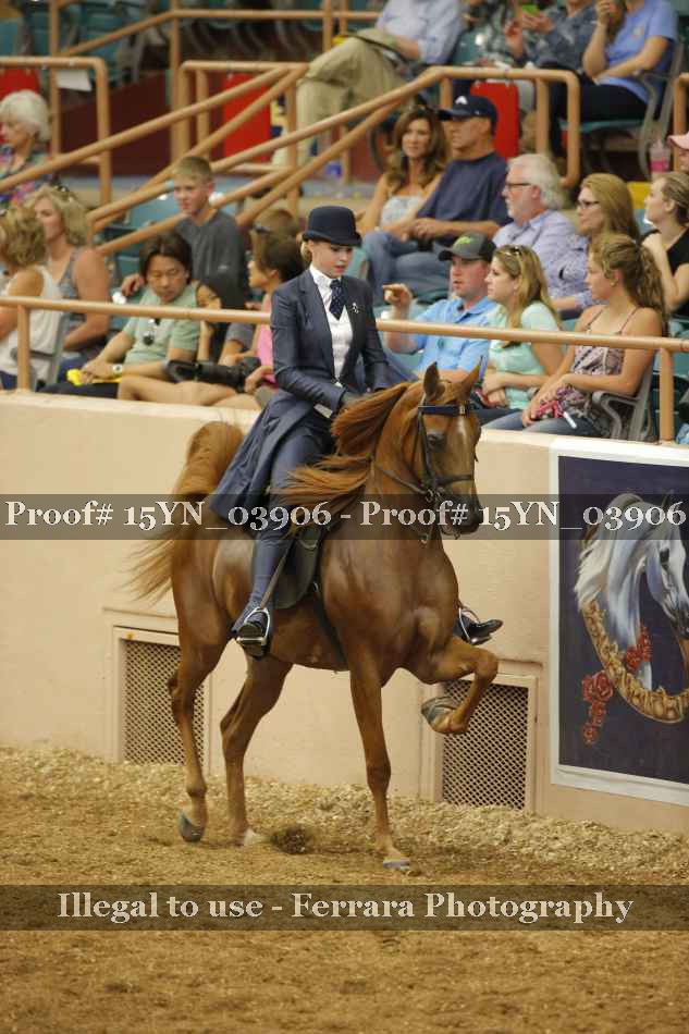Proof 15YN_03906