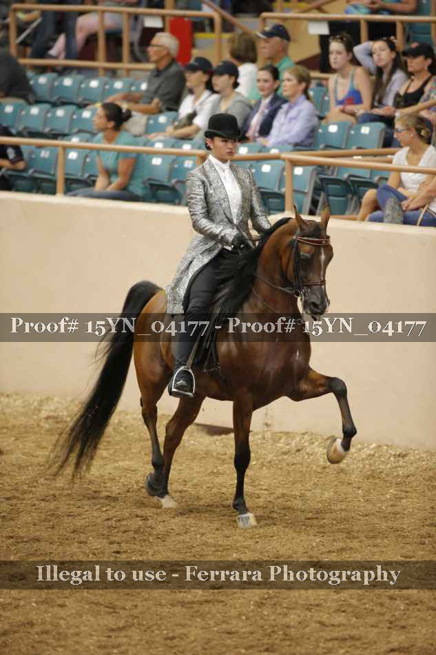 Proof 15YN_04177