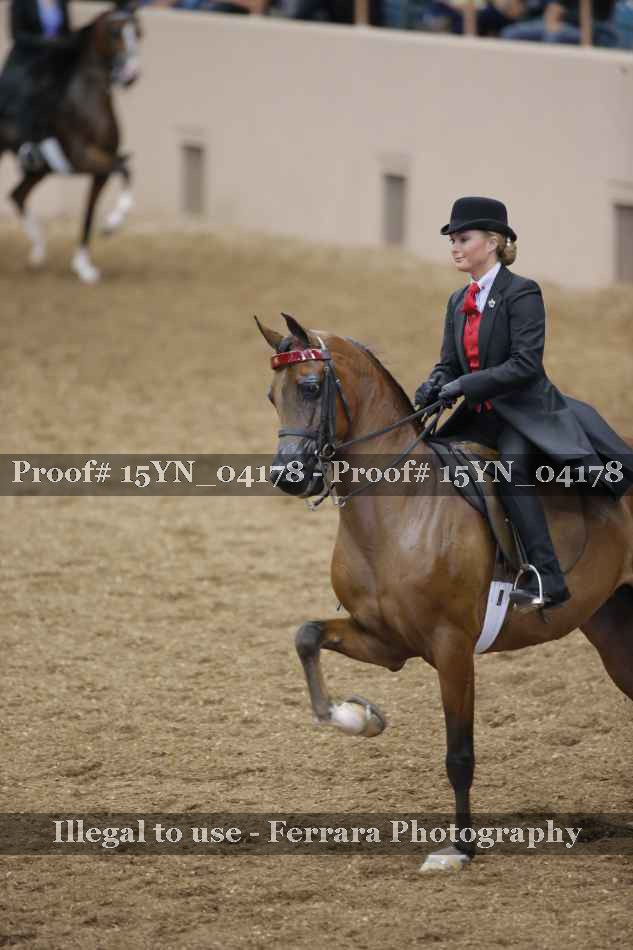 Proof 15YN_04178