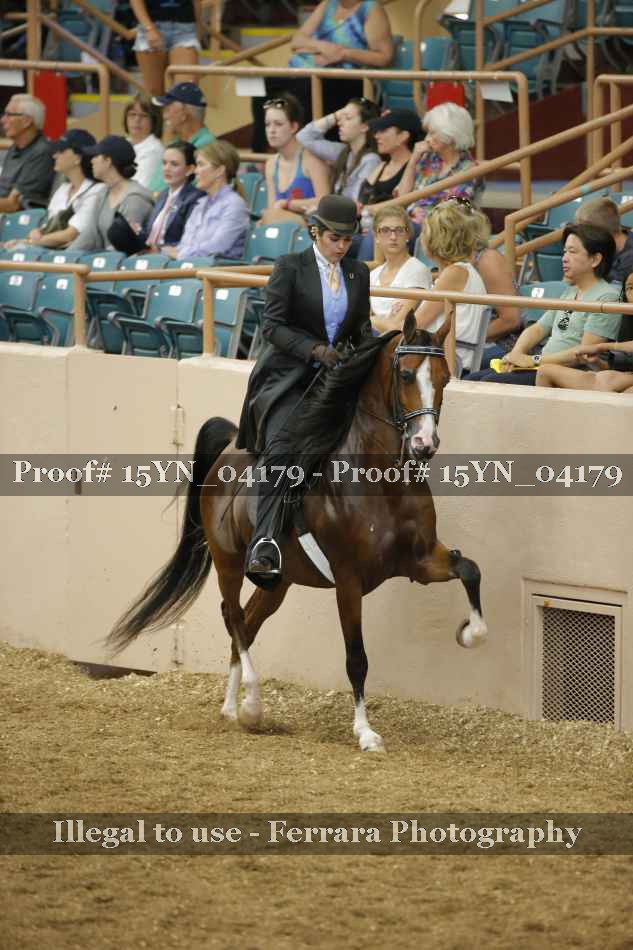 Proof 15YN_04179