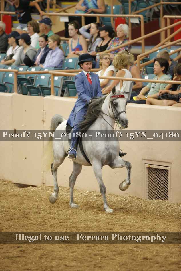 Proof 15YN_04180