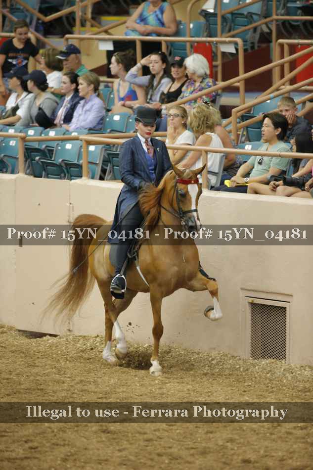 Proof 15YN_04181