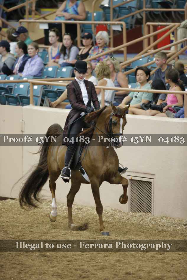 Proof 15YN_04183