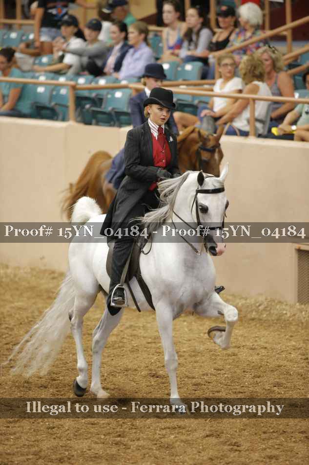 Proof 15YN_04184