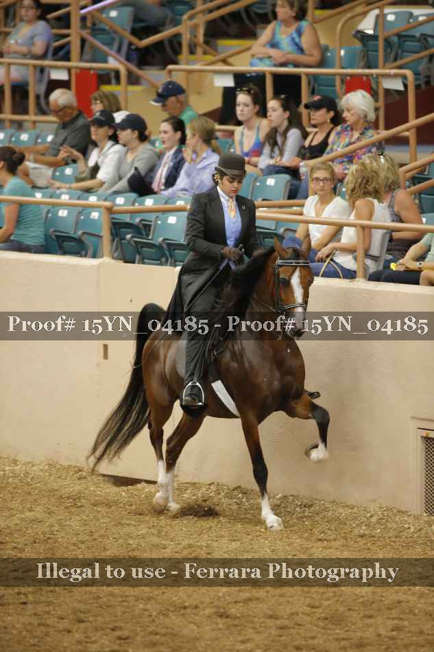 Proof 15YN_04185