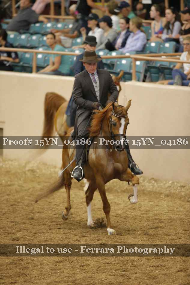 Proof 15YN_04186