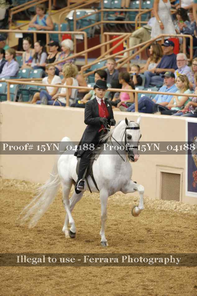 Proof 15YN_04188