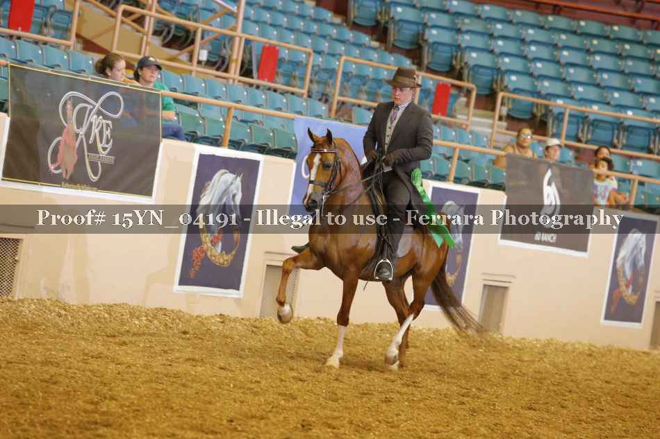 Proof 15YN_04191
