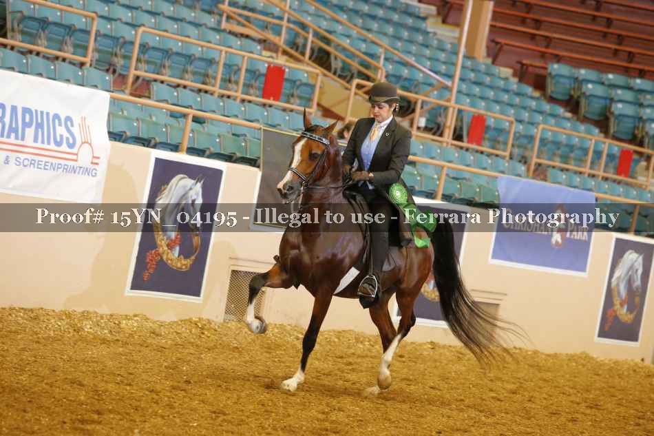 Proof 15YN_04195