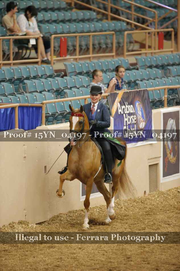 Proof 15YN_04197