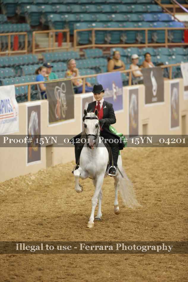 Proof 15YN_04201