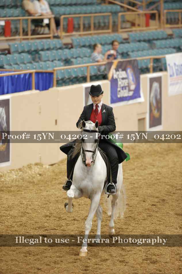 Proof 15YN_04202