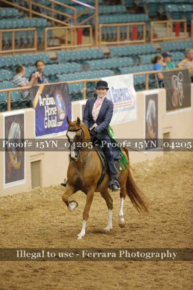 Proof 15YN_04205