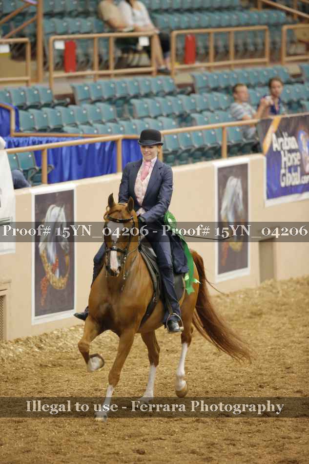 Proof 15YN_04206