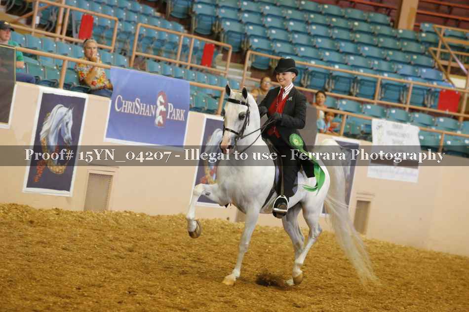 Proof 15YN_04207