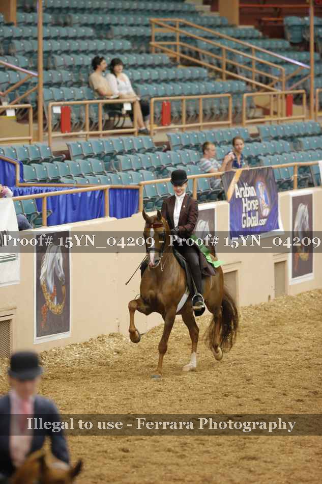 Proof 15YN_04209