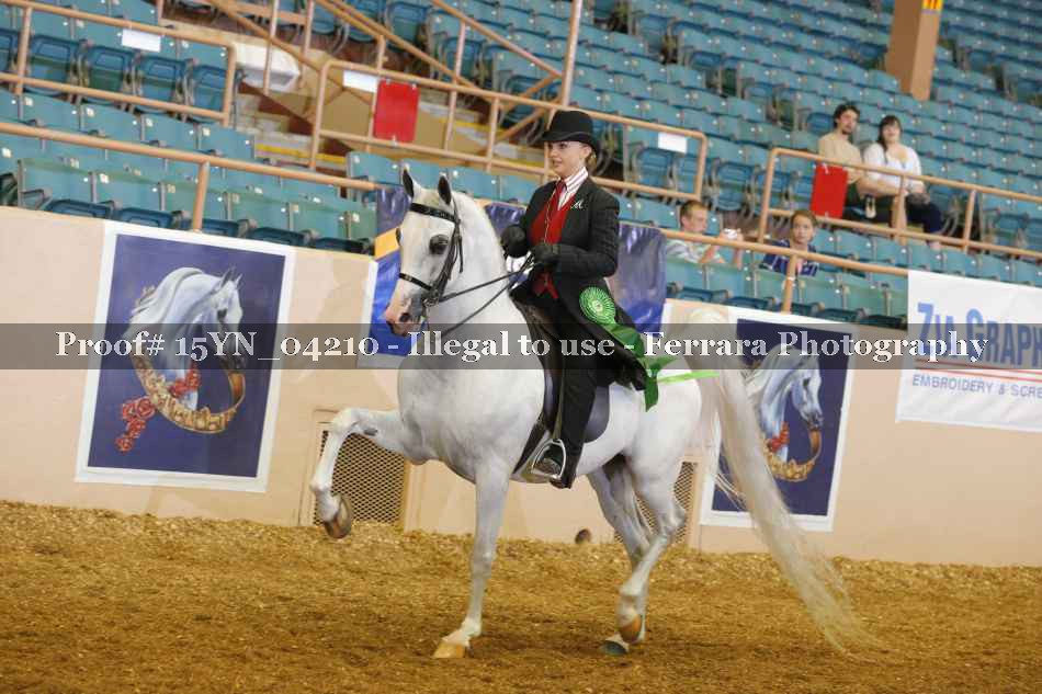 Proof 15YN_04210