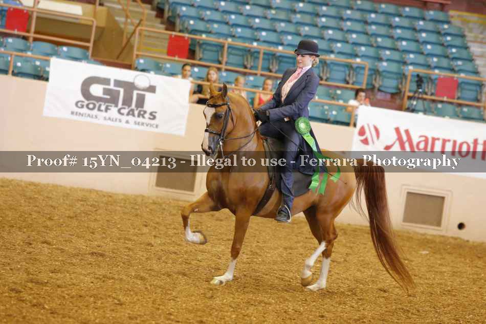 Proof 15YN_04213