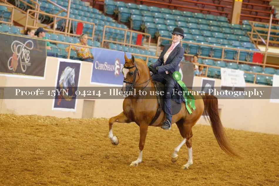 Proof 15YN_04214