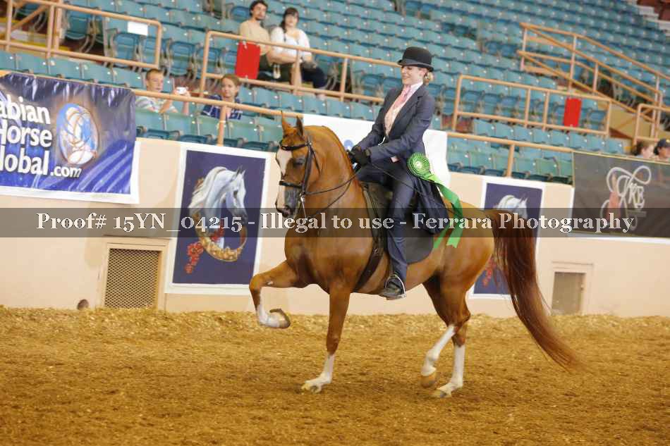 Proof 15YN_04215