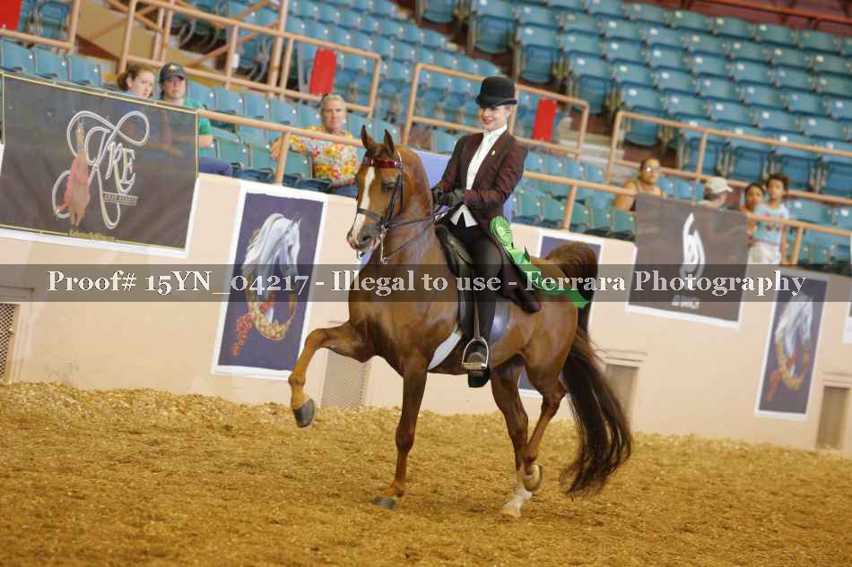 Proof 15YN_04217
