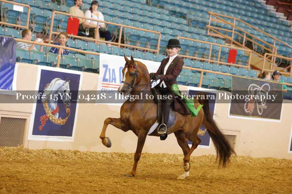 Proof 15YN_04218
